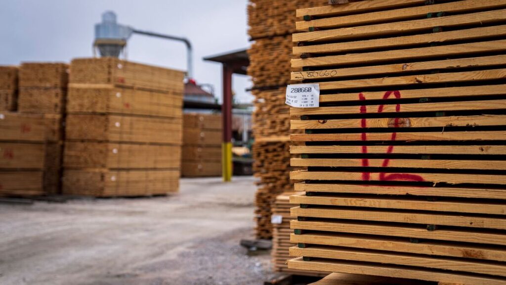 Tasseaux et planches rangés par sections dans un dépôt de négoce