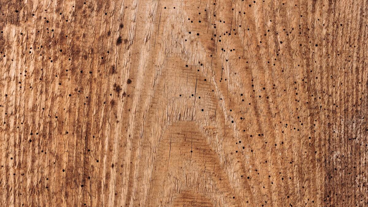 Pièce de bois ancienne abîmée, surface marquée par le temps et l’humidité