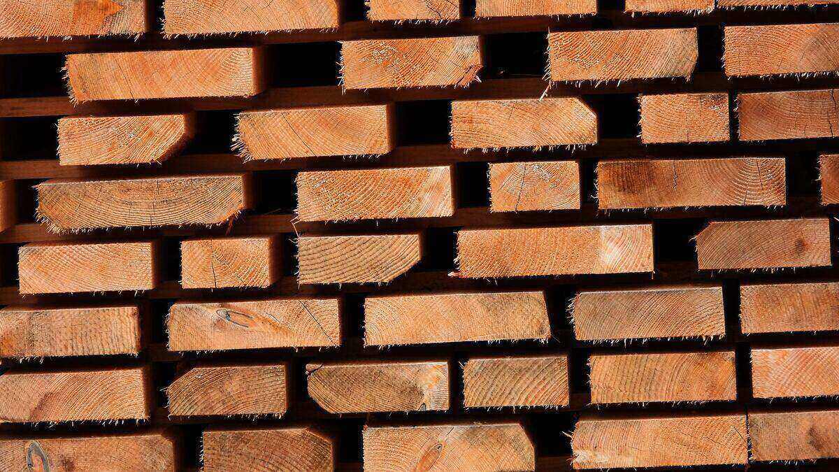 Planches de bois brut sortant de scie, empilées en cour de scierie